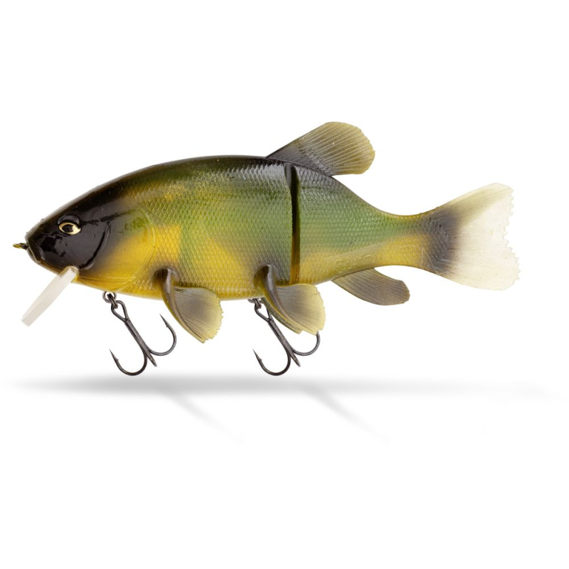 Quantum Freak of Nature Hybrid Tench