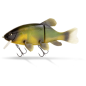 Quantum Freak of Nature Hybrid Tench