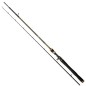 Quantum Energy Extreme Jigging Cast 1,90m 7-35g