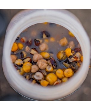 Nash Large Seed Mix 2,5L