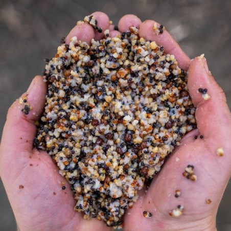 Nash Small Seed Mix 0,5L