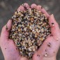 Nash Small Seed Mix 0,5L Nash Small Seed Mix 0,5L
