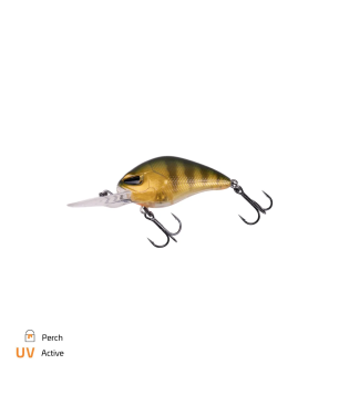 Zeck Danny 2.0 | 5,5 cm | 2,5 m F