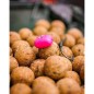 FOX EDGES™ ESSENTIALS POP-UP CORN PINK FOX EDGES™ ESSENTIALS POP-UP CORN PINK