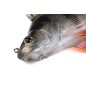 Fox Rage Ultra-Realistic Perch Replicant Fox Rage Ultra-Realistic Perch Replicant