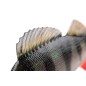 Fox Rage Ultra-Realistic Perch Replicant Fox Rage Ultra-Realistic Perch Replicant