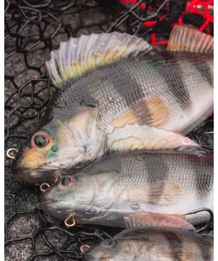 Fox Rage Ultra-Realistic Perch Replicant