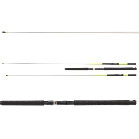 Daiwa Sealine X'treme Interline 2.35m 15-30lbs