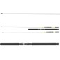 Daiwa Sealine X'treme Interline 2.35m 30-50lbs