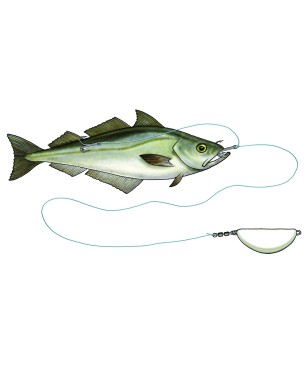 Westin Halibut Anti Twist Rig