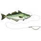 Westin Halibut Anti Twist Rig