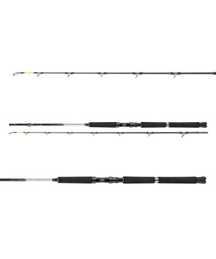 Daiwa Leobritz Deepdrop 2,15m 200-600g