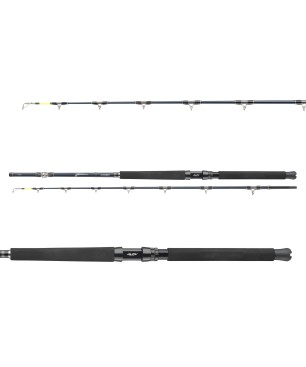 Daiwa Tanacom Ultra Deep 2,10m 400-1000g