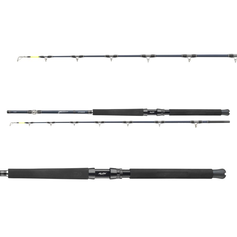 Daiwa Tanacom Ultra Deep 2,10m 400-1000g