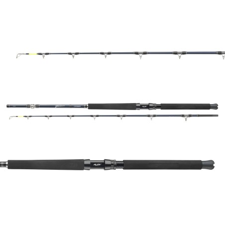 Daiwa Tanacom Ultra Deep 2,10m 400-1000g