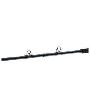 Daiwa Tanacom Ultra Deep 2,10m 400-1000g