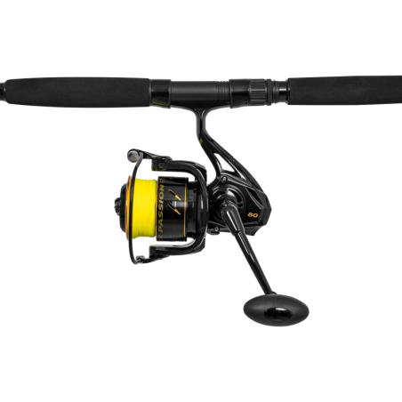 Black Cat Hard Core Combo Allround Rod