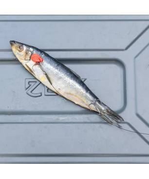 Zeck Twin Treble Rig