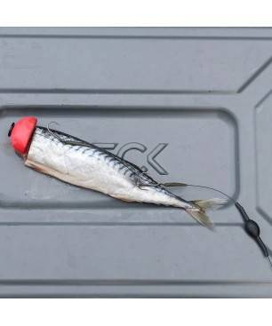 Zeck Twin Treble Rig