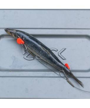 Zeck Twin Treble Rig