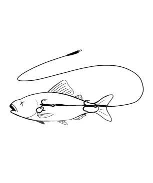 Zeck Twin Treble Rig