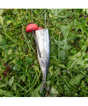 Zeck Pop-up Half Ball