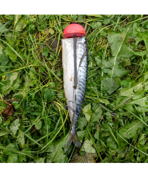 Zeck Pop-up Half Ball