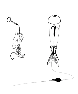 Zeck Pop-up Half Ball