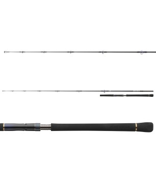 Daiwa Saltiga Light Game H