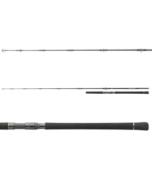 Daiwa Saltiga Stick'n Pop H