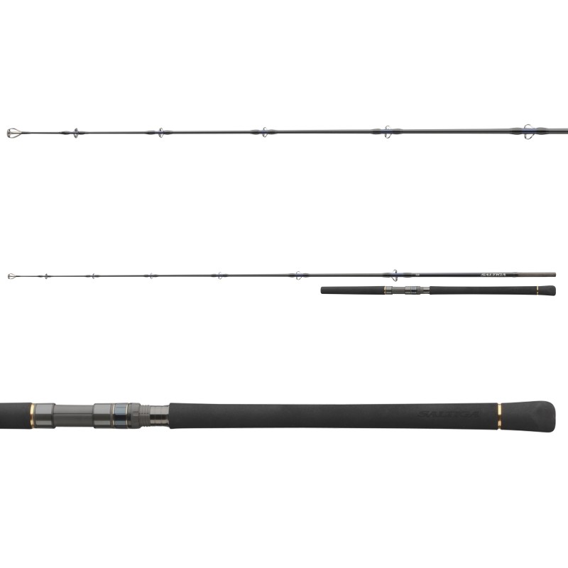 Daiwa Saltiga Stick'n Pop H