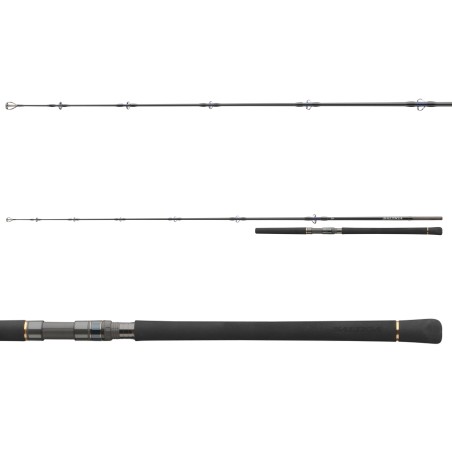 Daiwa Saltiga Popper XH