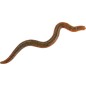 Balzer Wiggle Worm 8cm Balzer Wiggle Worm 8cm