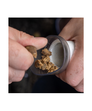 Avid Transfer PVA Mesh System