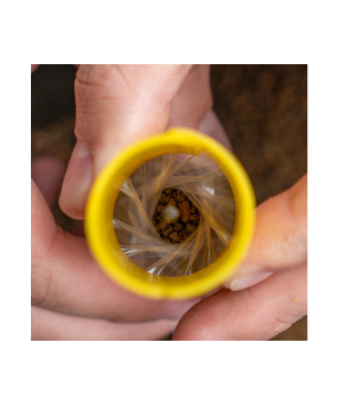 Avid Transfer Solid Bag System