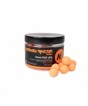 CC Moore NS1 Orange Pop Ups