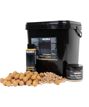 CC Moore Live System Session Pack