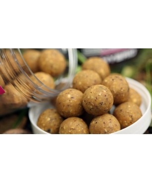 Mainline Baits High Impact Range Boilie