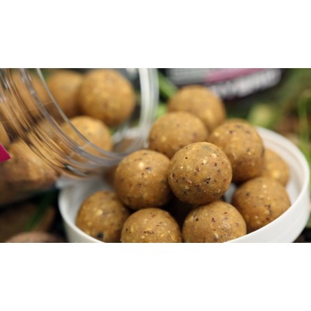 Mainline High Impact Boilies 1 kg