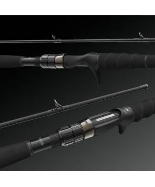 Nays NXT BTSD 2,90m 400g Casting