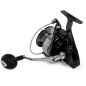 Black Cat Shadow Cat Black Cat Shadow Cat
