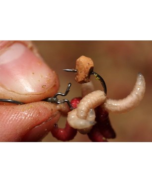 Korda Maggot Klip