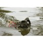 Korda MK2 Skyliner Korda MK2 Skyliner