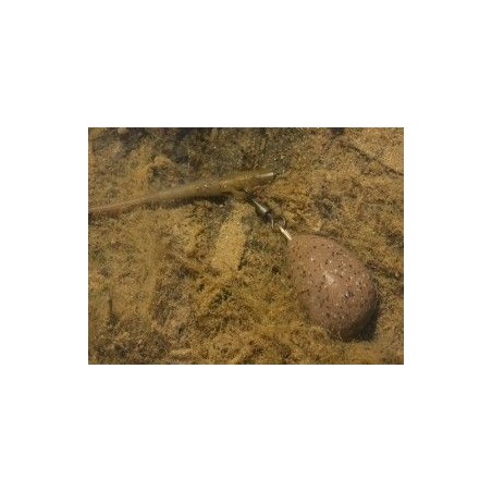 Korda Pear Swivel