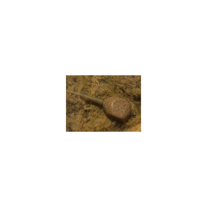 Korda Square Pear Inline Korda Square Pear Inline
