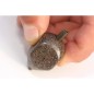 Korda Square Pear Inline Korda Square Pear Inline