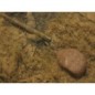 Korda Square Pear Swivel Korda Square Pear Swivel