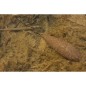 Korda Tournament Casting Swivel Korda Tournament Casting Swivel