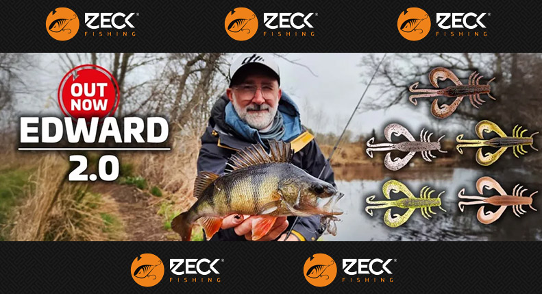 Offer Banner